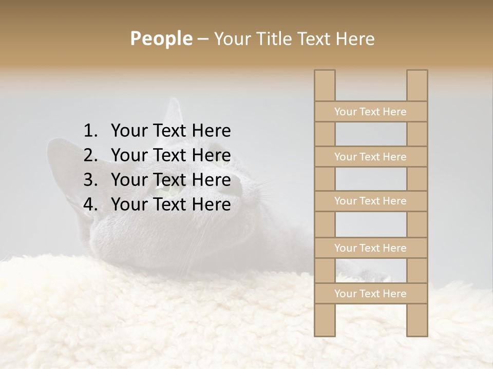 Cute Whiskers Lying PowerPoint Template