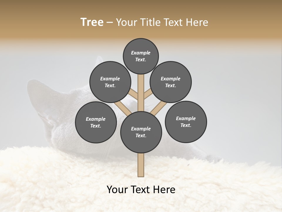 Cute Whiskers Lying PowerPoint Template