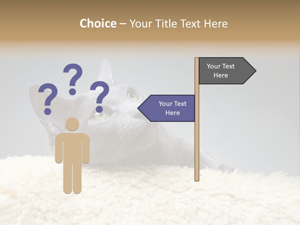 Cute Whiskers Lying PowerPoint Template