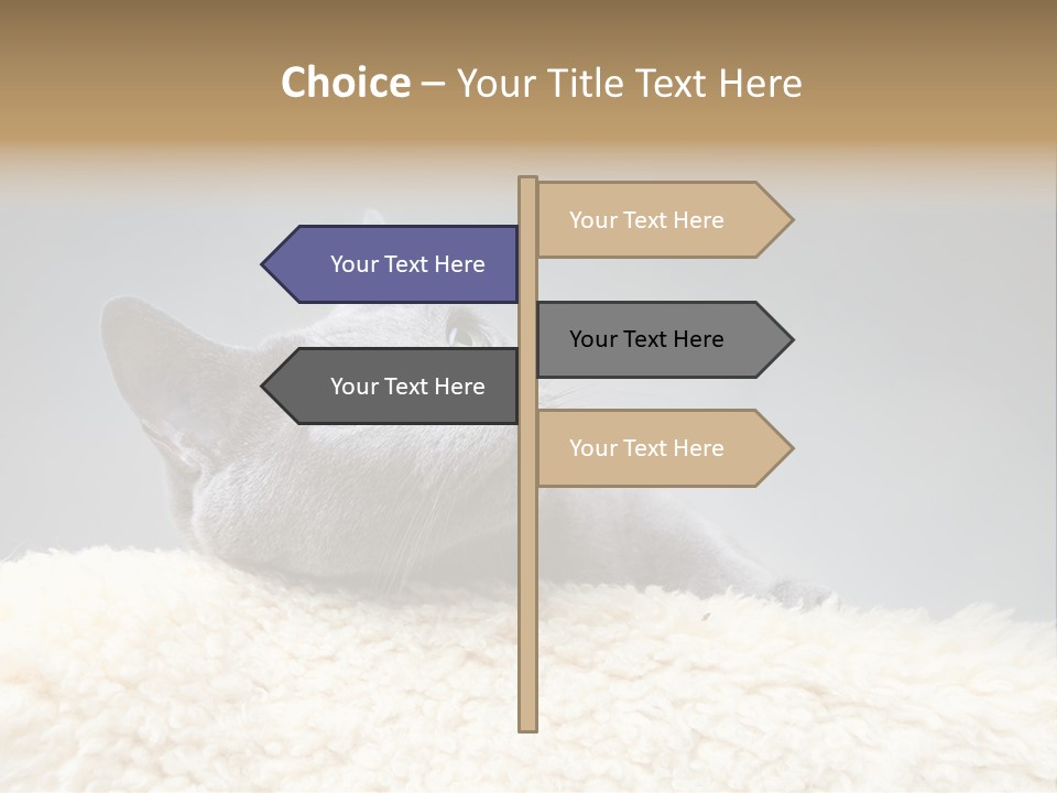 Cute Whiskers Lying PowerPoint Template