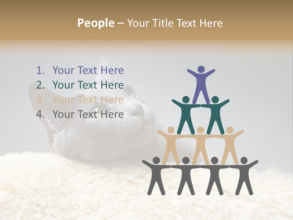 Cute Whiskers Lying PowerPoint Template