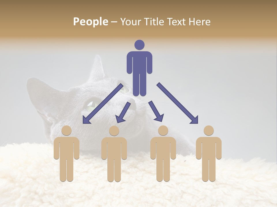 Cute Whiskers Lying PowerPoint Template