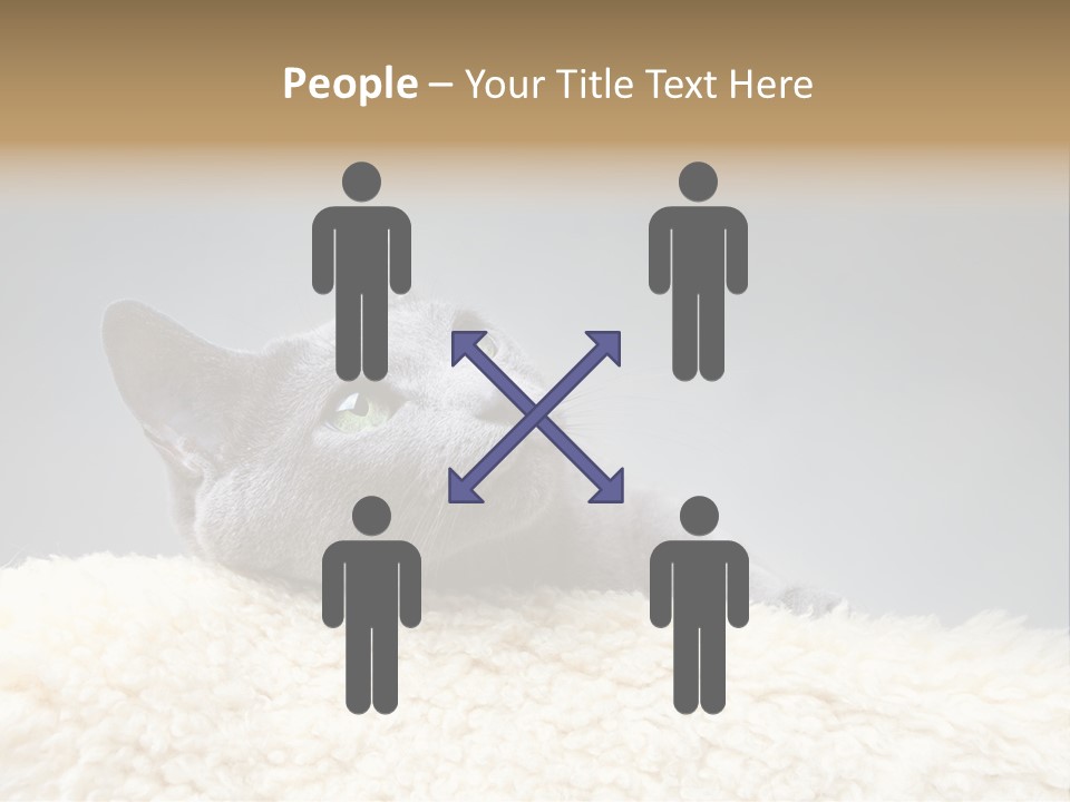 Cute Whiskers Lying PowerPoint Template