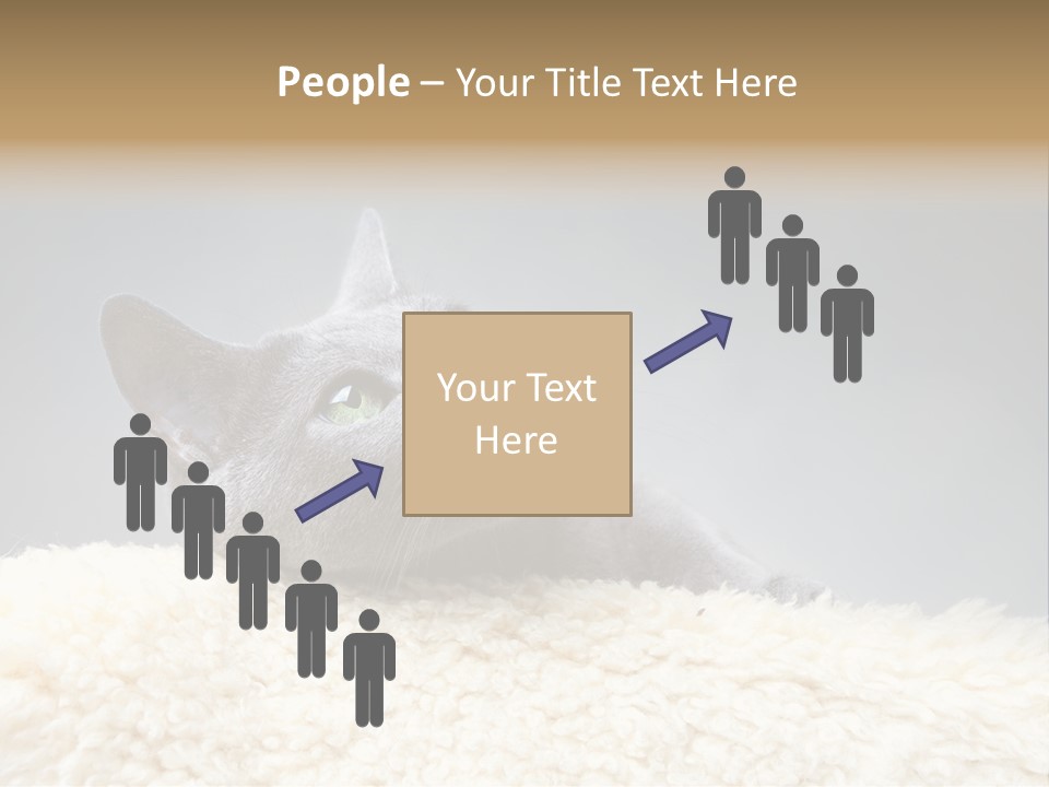 Cute Whiskers Lying PowerPoint Template