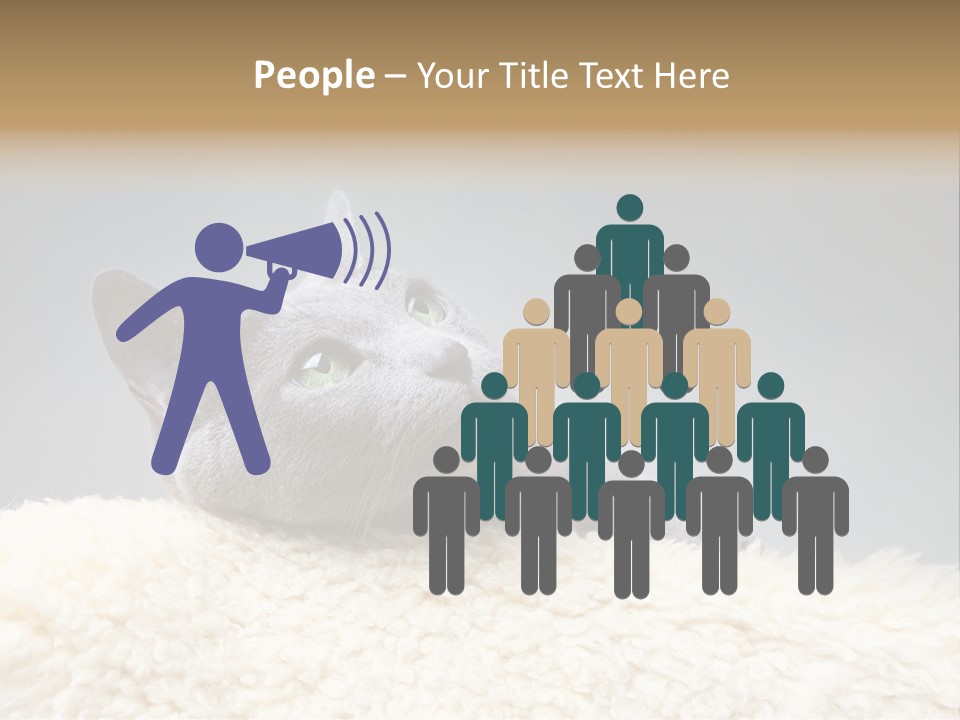 Cute Whiskers Lying PowerPoint Template