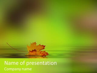 Maple Lake Reflection PowerPoint Template