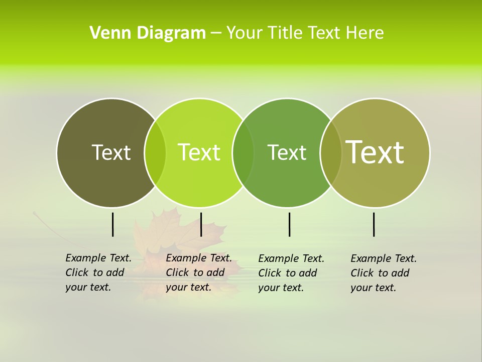 Maple Lake Reflection PowerPoint Template
