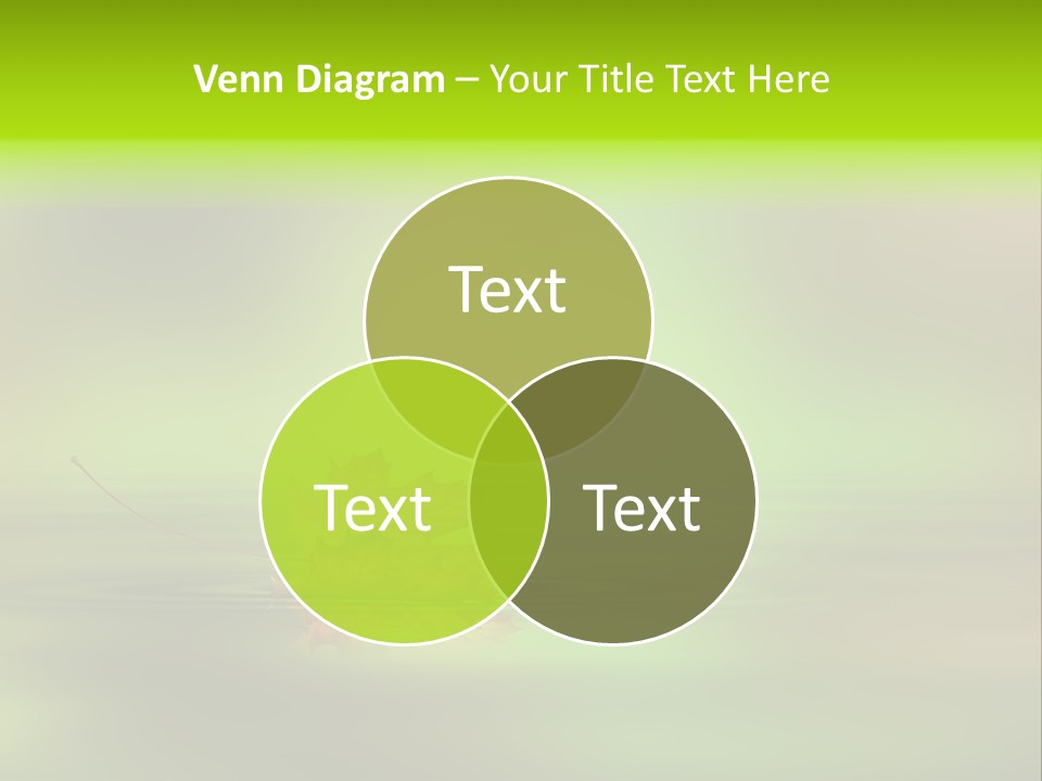 Maple Lake Reflection PowerPoint Template