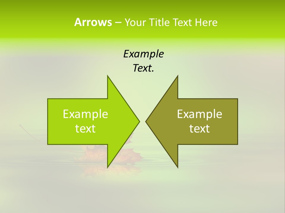 Maple Lake Reflection PowerPoint Template