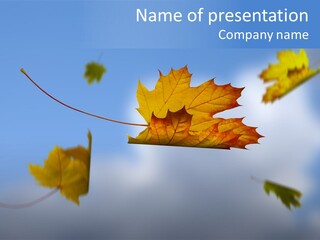 Branch Ornament Orange PowerPoint Template