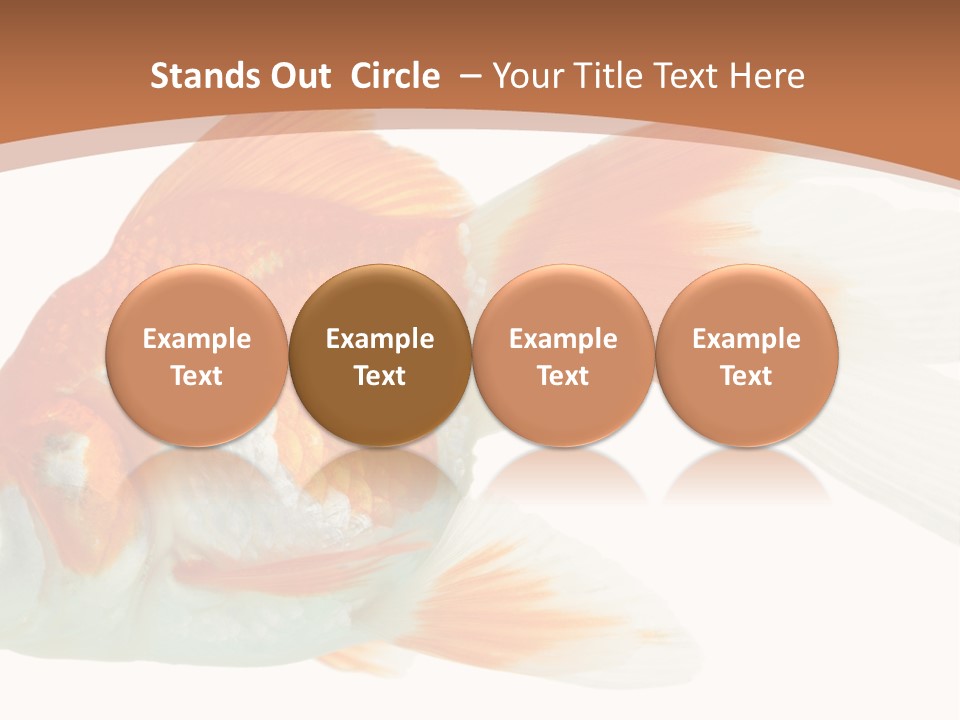 Bowl Aquarium Background PowerPoint Template