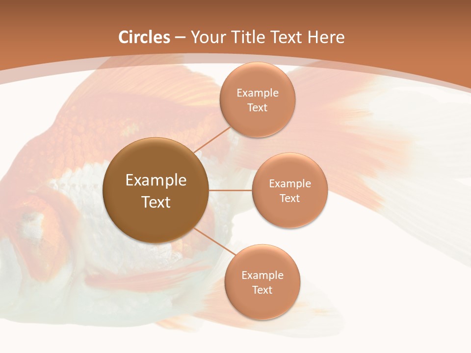 Bowl Aquarium Background PowerPoint Template