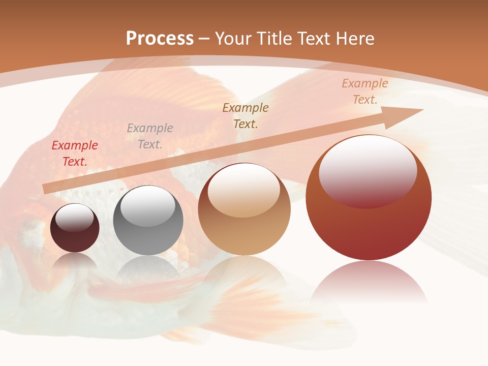 Bowl Aquarium Background PowerPoint Template