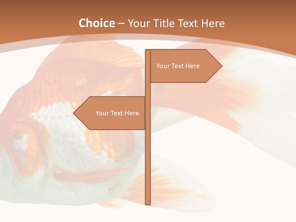 Bowl Aquarium Background PowerPoint Template