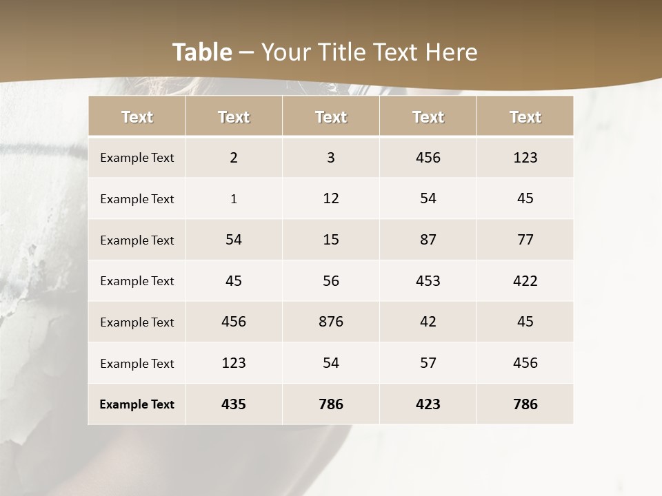 Slum Beauty European PowerPoint Template
