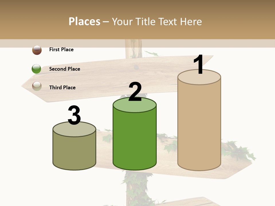 Wooden Pointer Crossroads PowerPoint Template