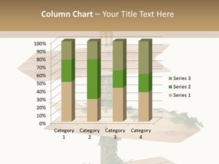 Wooden Pointer Crossroads PowerPoint Template