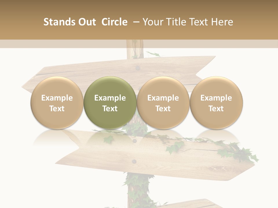 Wooden Pointer Crossroads PowerPoint Template