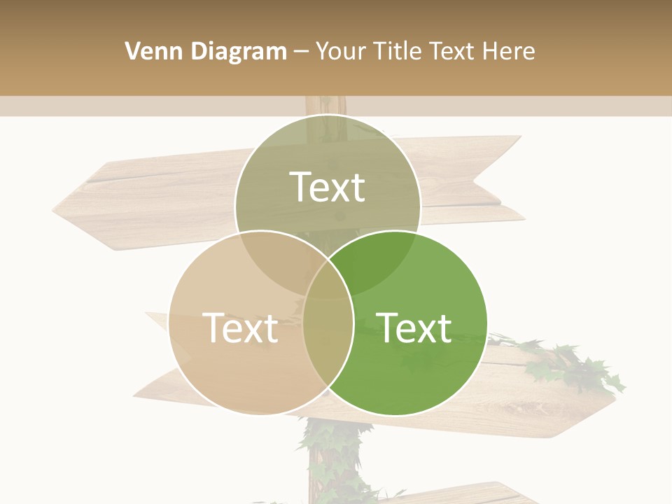 Wooden Pointer Crossroads PowerPoint Template
