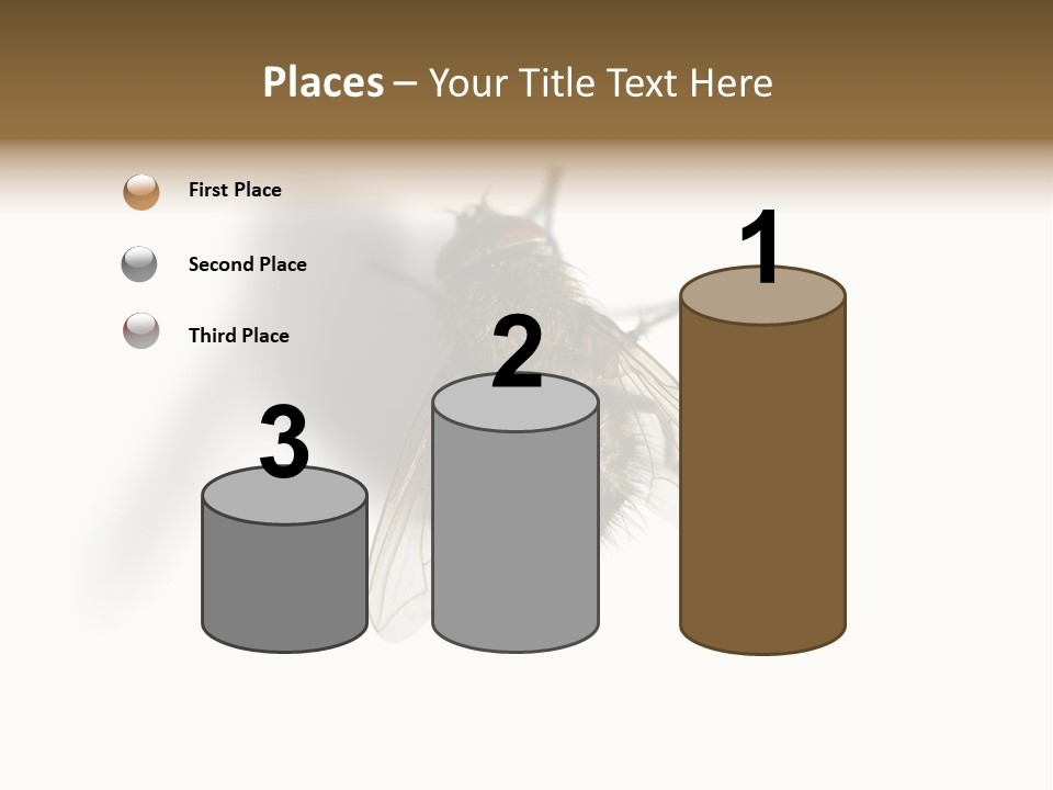 White Pest House PowerPoint Template