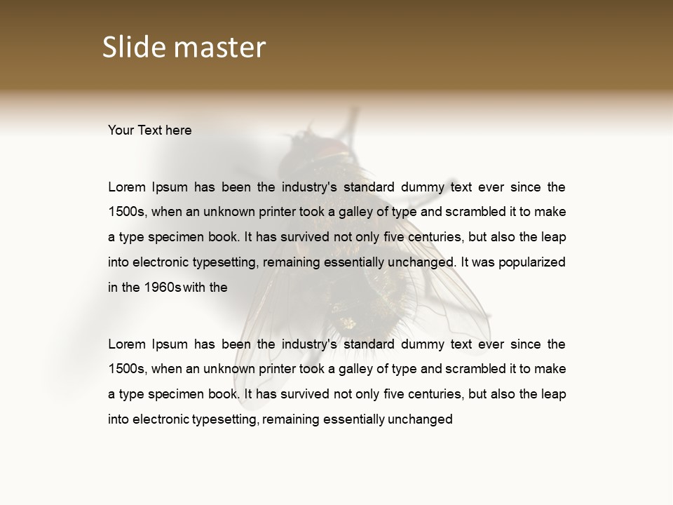 White Pest House PowerPoint Template