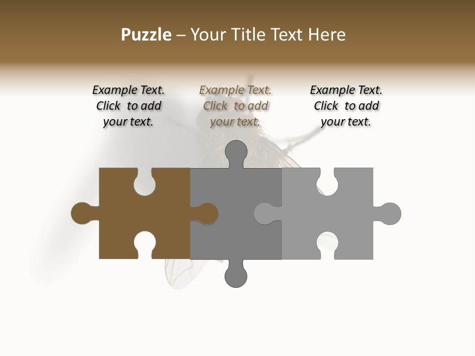 White Pest House PowerPoint Template