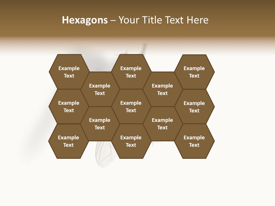 White Pest House PowerPoint Template