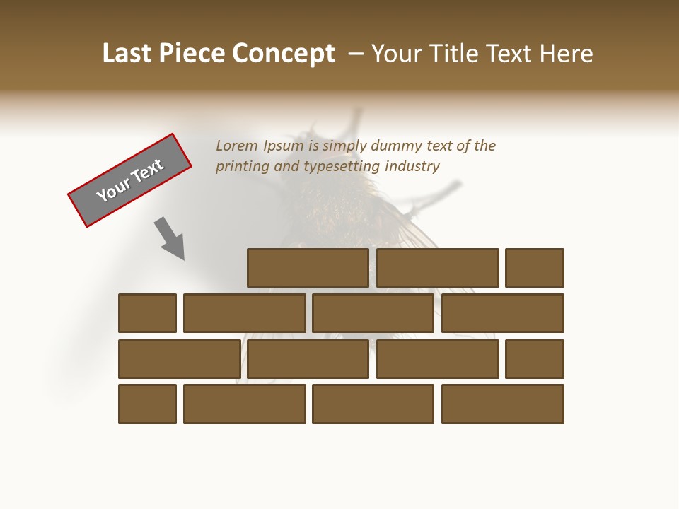 White Pest House PowerPoint Template