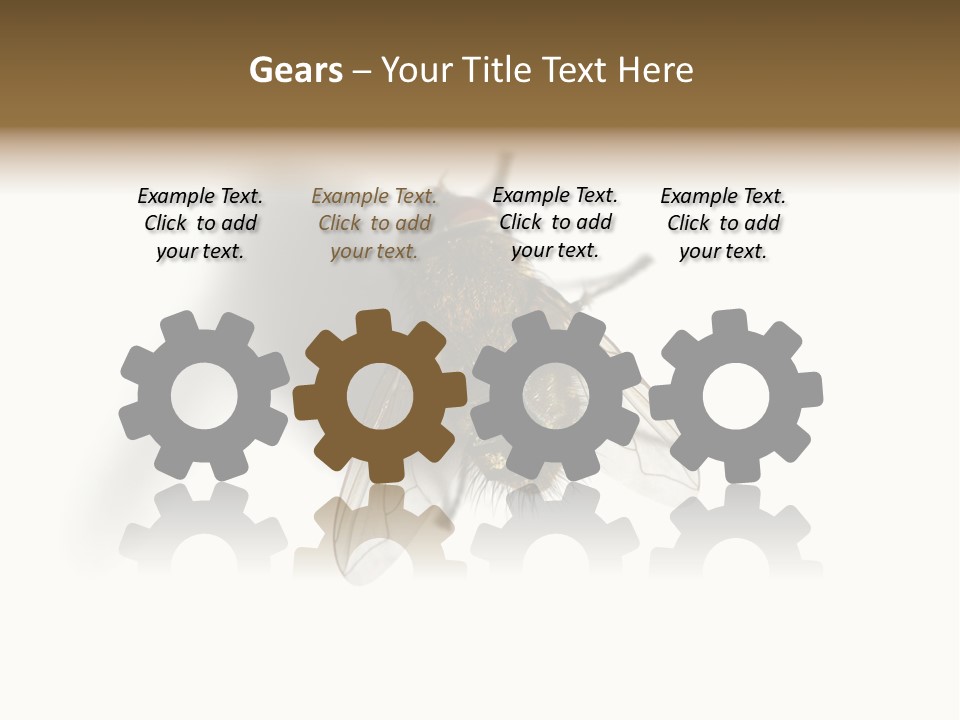 White Pest House PowerPoint Template