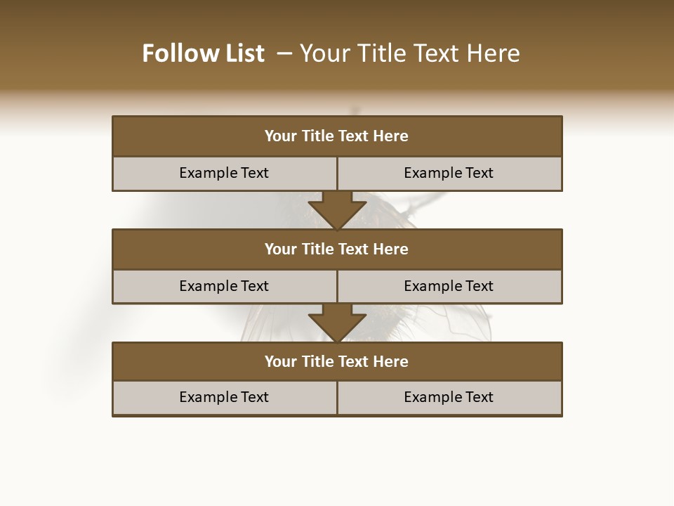 White Pest House PowerPoint Template