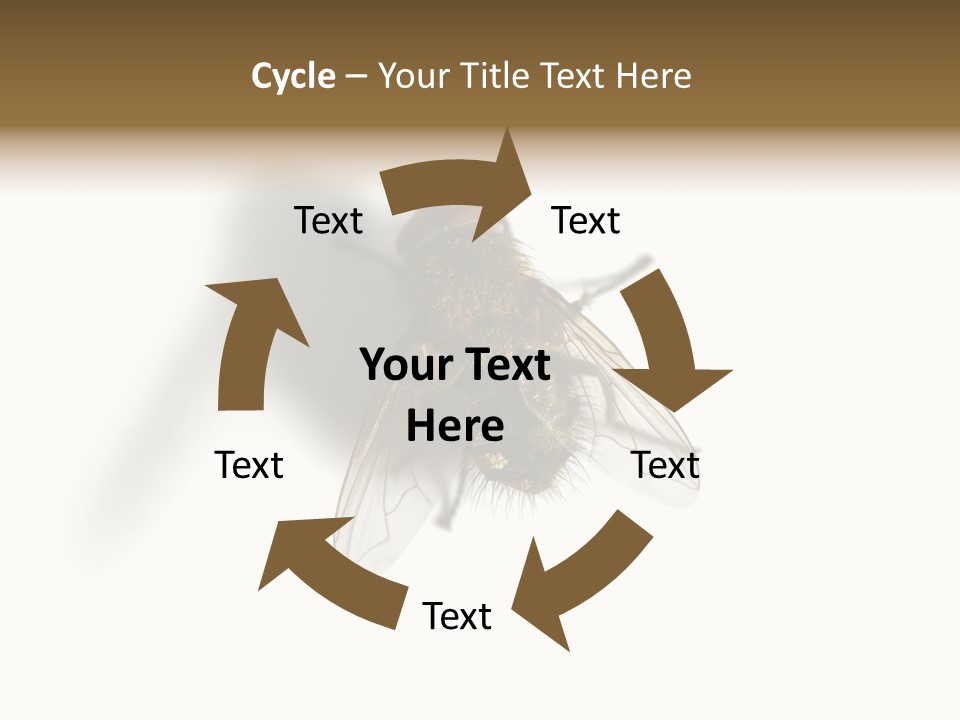 White Pest House PowerPoint Template