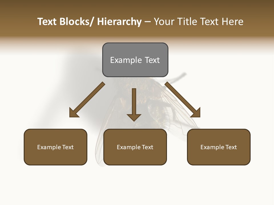 White Pest House PowerPoint Template