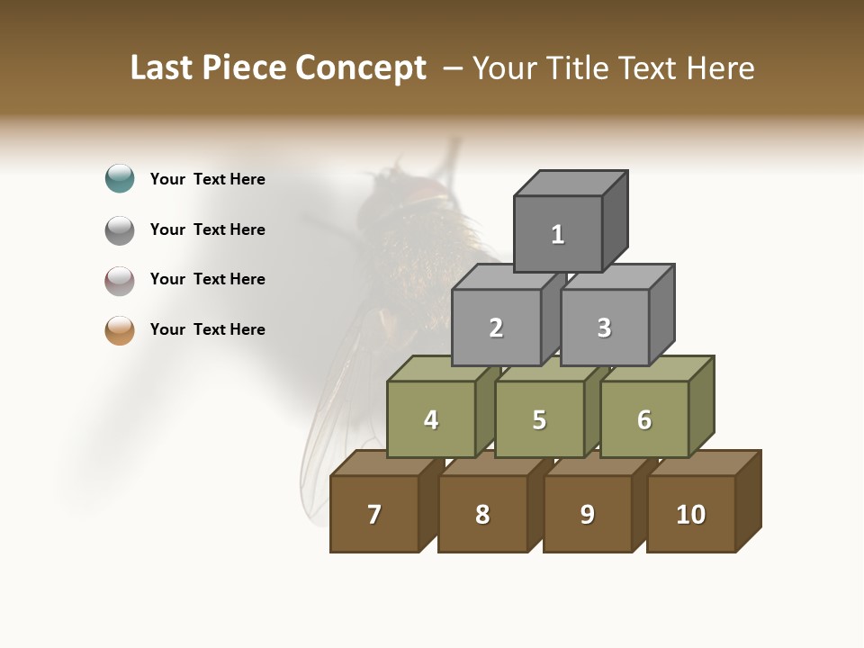 White Pest House PowerPoint Template