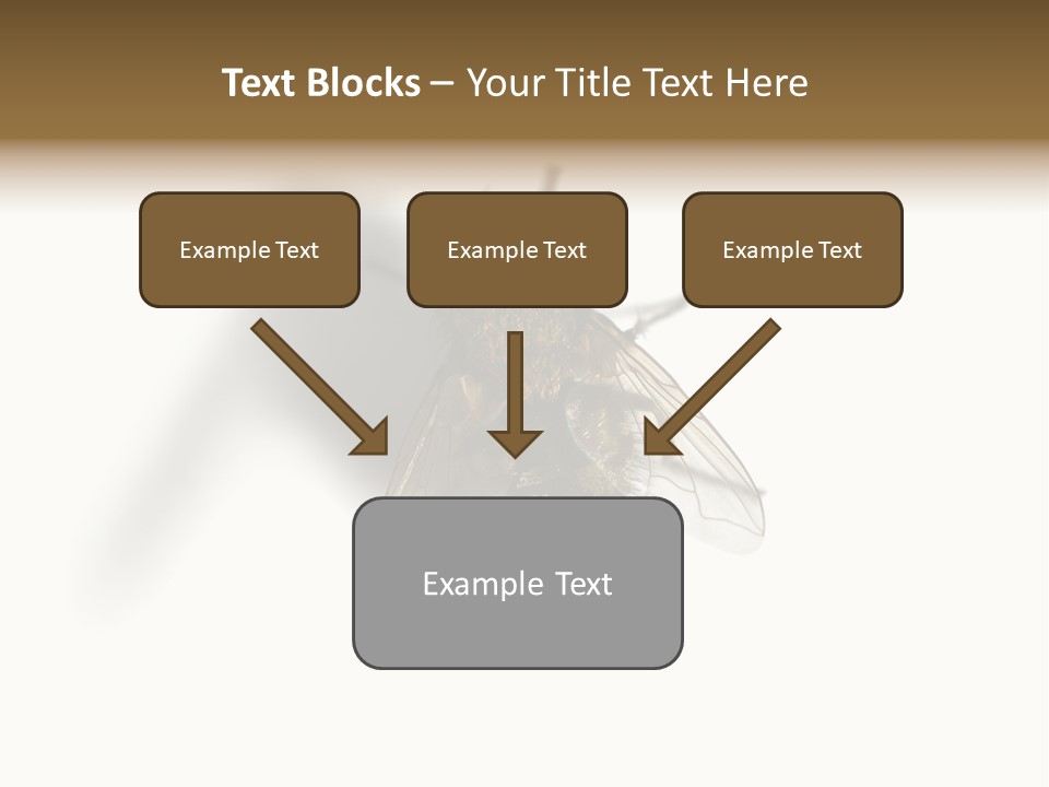 White Pest House PowerPoint Template