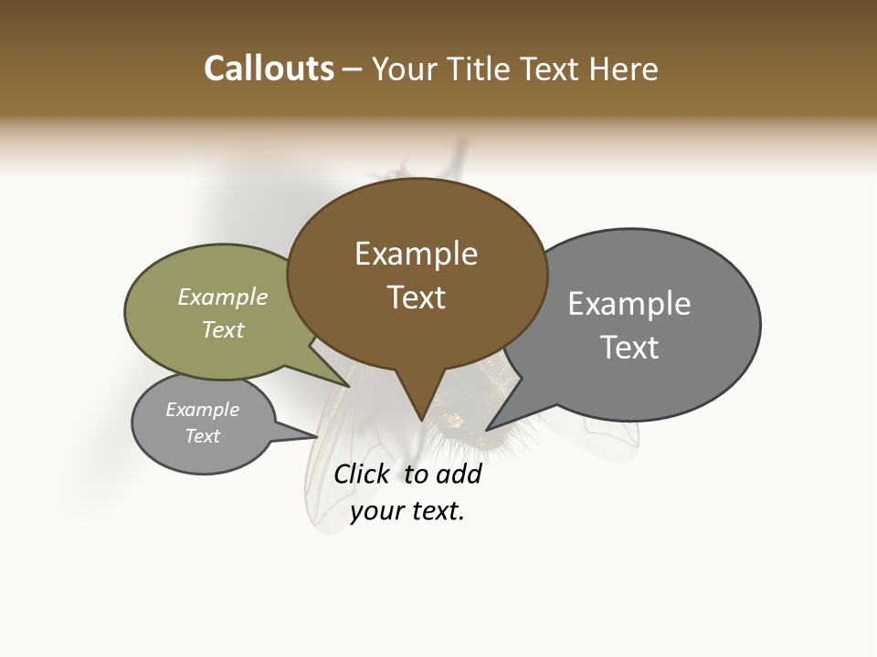 White Pest House PowerPoint Template