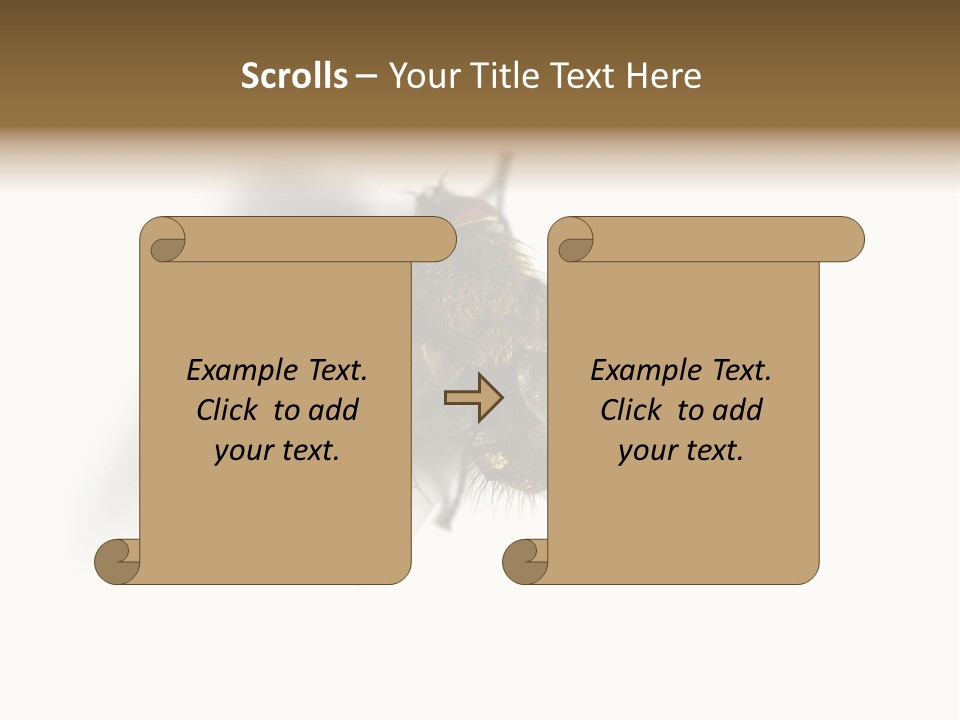 White Pest House PowerPoint Template