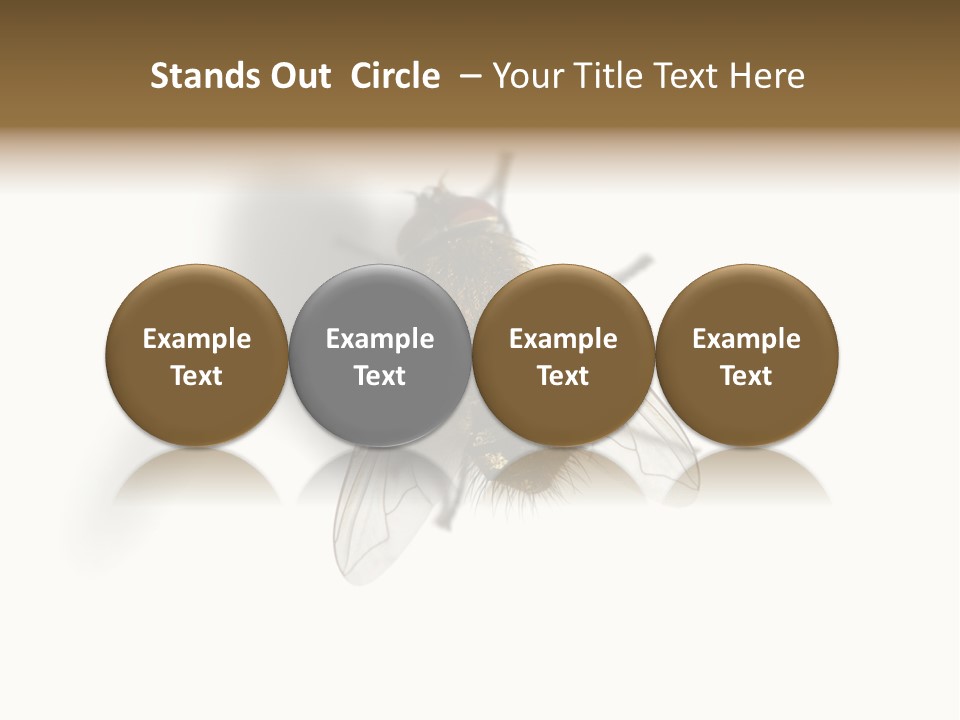 White Pest House PowerPoint Template