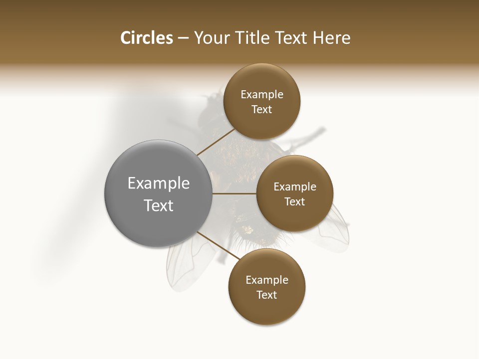 White Pest House PowerPoint Template