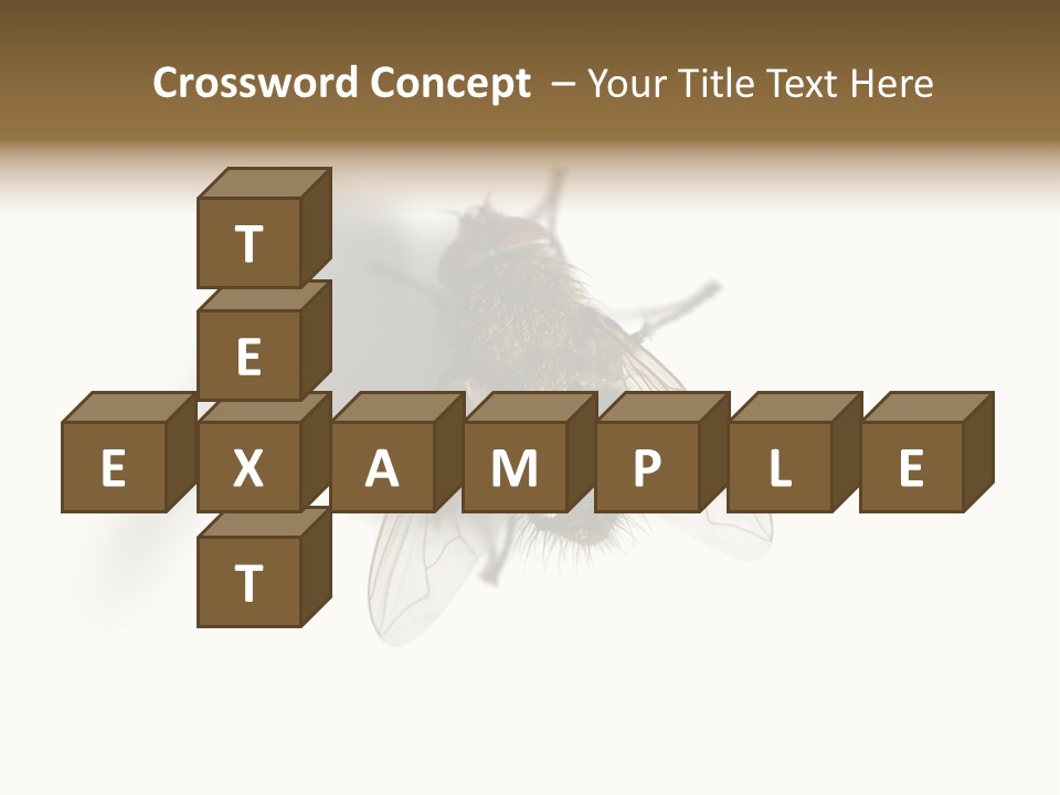 White Pest House PowerPoint Template