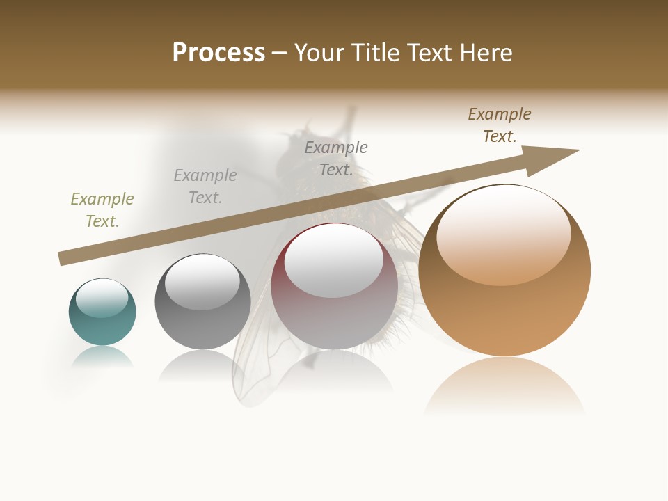 White Pest House PowerPoint Template