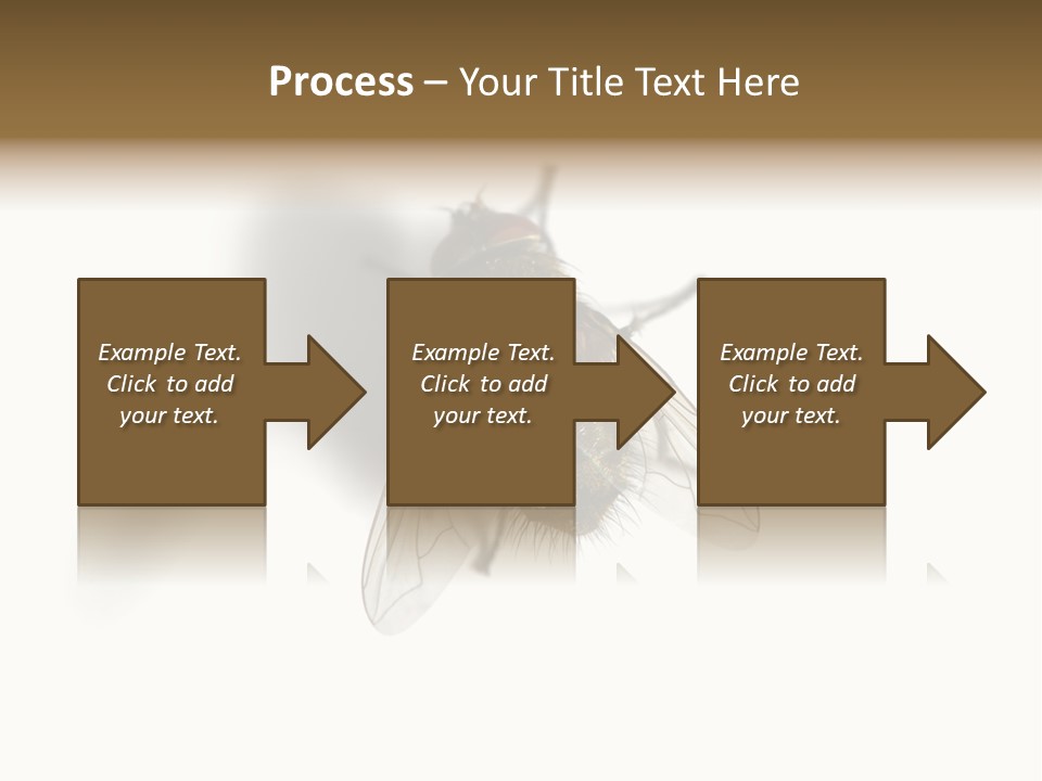 White Pest House PowerPoint Template