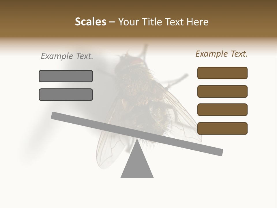 White Pest House PowerPoint Template