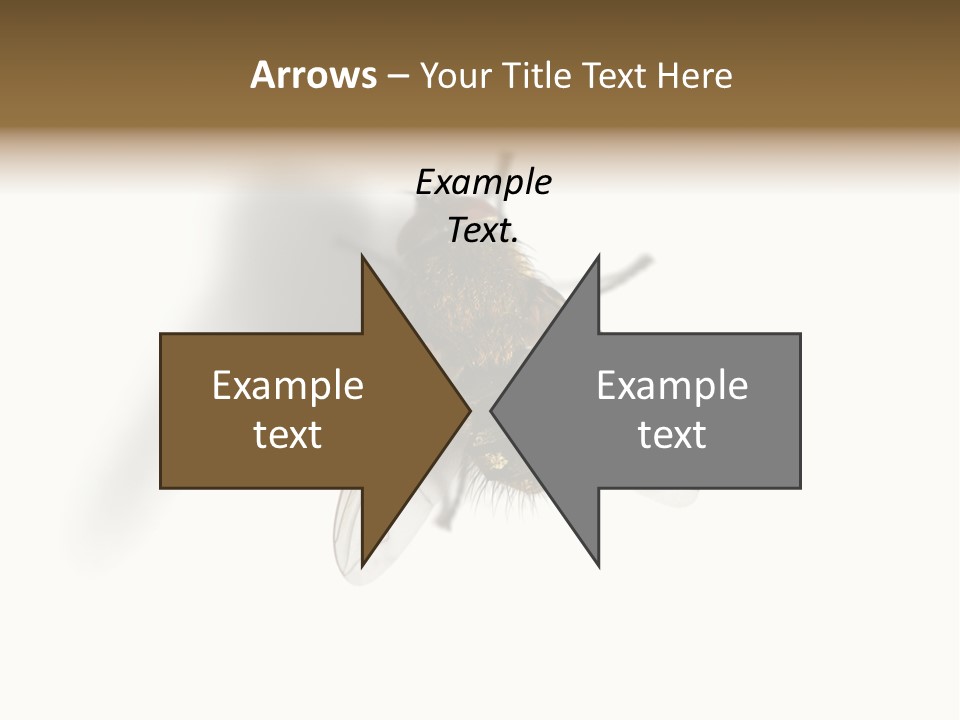 White Pest House PowerPoint Template