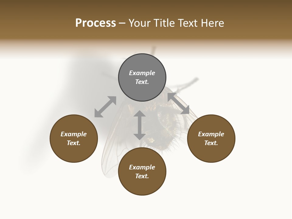 White Pest House PowerPoint Template