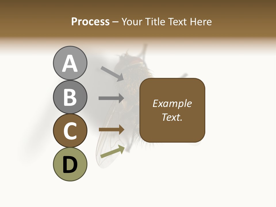 White Pest House PowerPoint Template