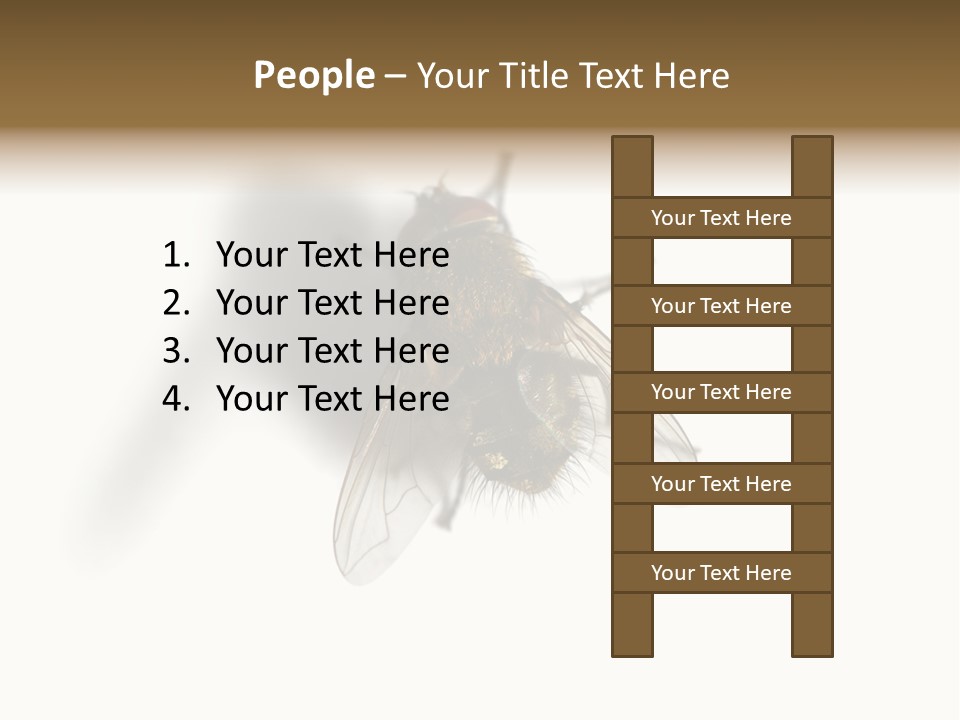 White Pest House PowerPoint Template