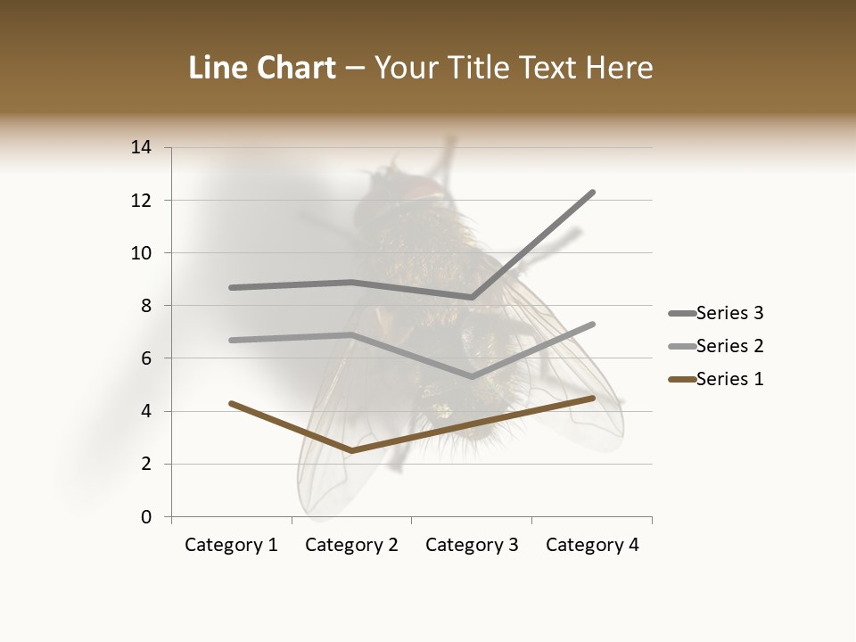 White Pest House PowerPoint Template