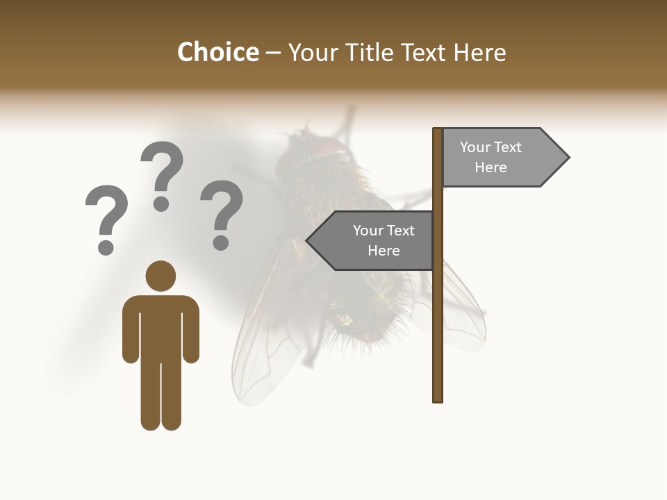 White Pest House PowerPoint Template