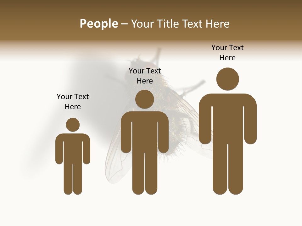 White Pest House PowerPoint Template