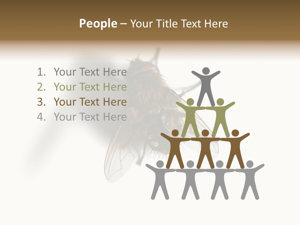 White Pest House PowerPoint Template